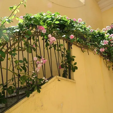 Bed & Breakfast Maison Rosetta Iun-e4948 3*