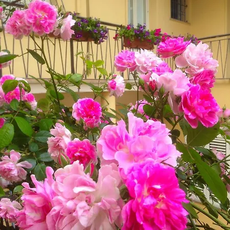 住宿加早餐酒店 Maison Rosetta Iun-e4948 3*