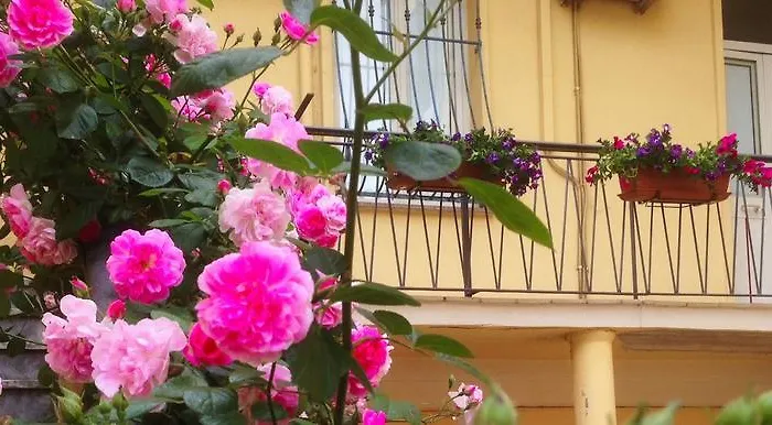 Maison Rosetta Iun-e4948 3* Nuoro (Sardinia)