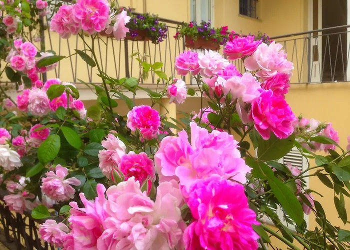 Bed & Breakfast Maison Rosetta Iun-e4948 3*