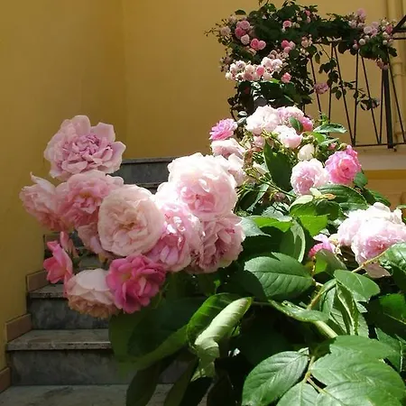 Maison Rosetta Iun-e4948