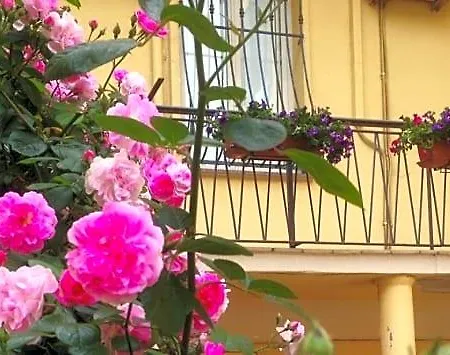 Maison Rosetta Iun-e4948 3* 누오로