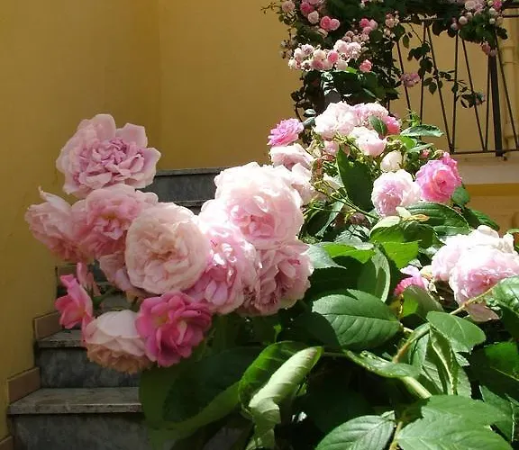 Maison Rosetta Iun-e4948