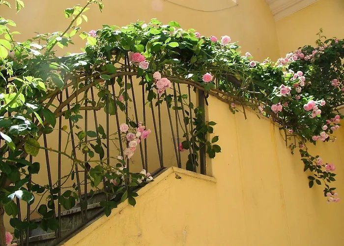 Bed and breakfast Maison Rosetta Iun-e4948 3*