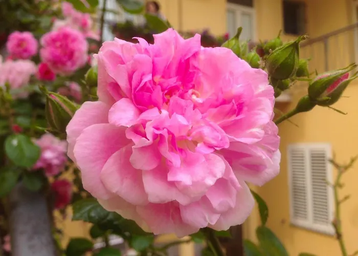 Maison Rosetta Iun-e4948 Nuoro (Sardinia)