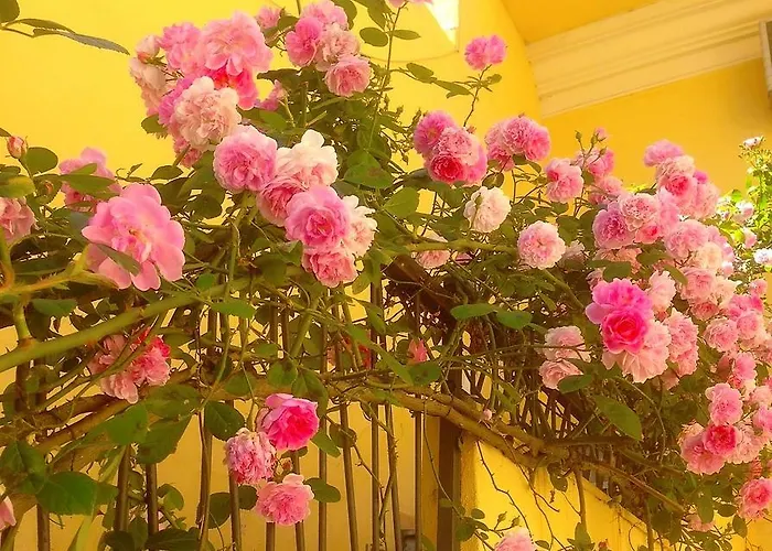 Maison Rosetta Iun-e4948 3*